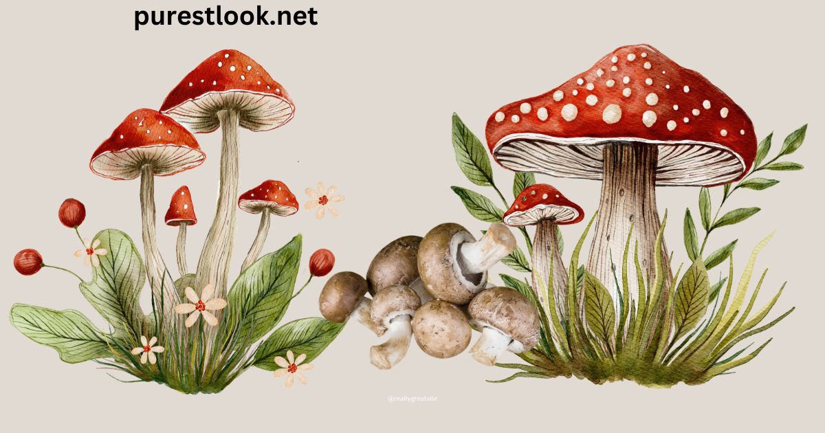 mushrooms